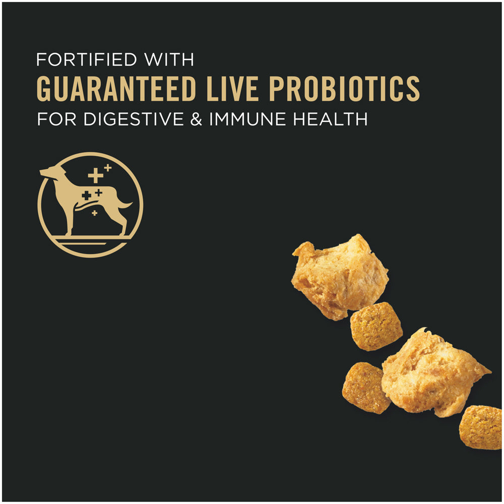 Pro Plan Adult Small Breed Shredded Blend Chicken & Rice Formula