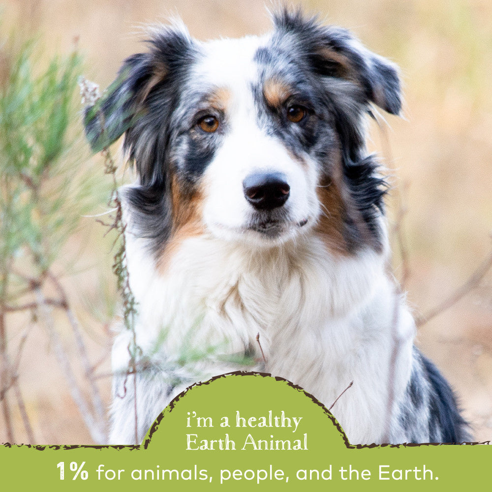 Earth Animal Daily Raw Food Nutritional Supplement