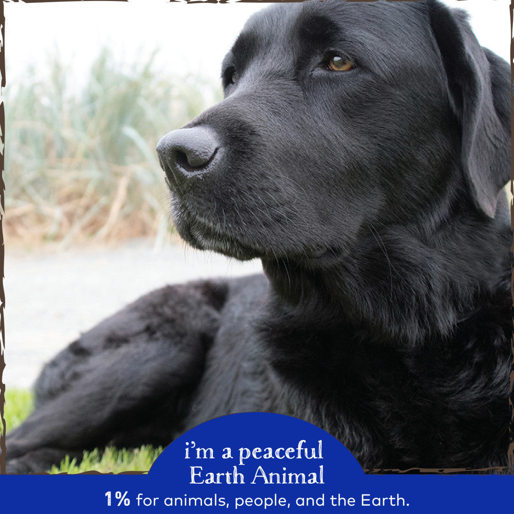 Earth Animal Flower Essence Remedies Emotional Balance