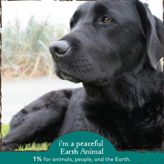 Earth Animal Herbal Topical Remedies Clean Eyes Eye Wash