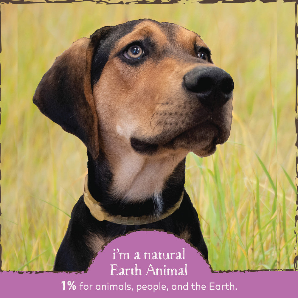 Earth Animal Nature's Protection Flea & Tick Prevention Daily Internal Herbal Powder