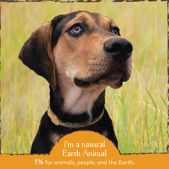 Earth Animal Nature's Protection Flea & Tick Prevention Daily Internal Powder