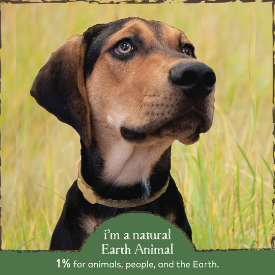 Earth Animal Nature's Protection Flea & Tick Prevention Herbal Bug Spray for Dogs & People