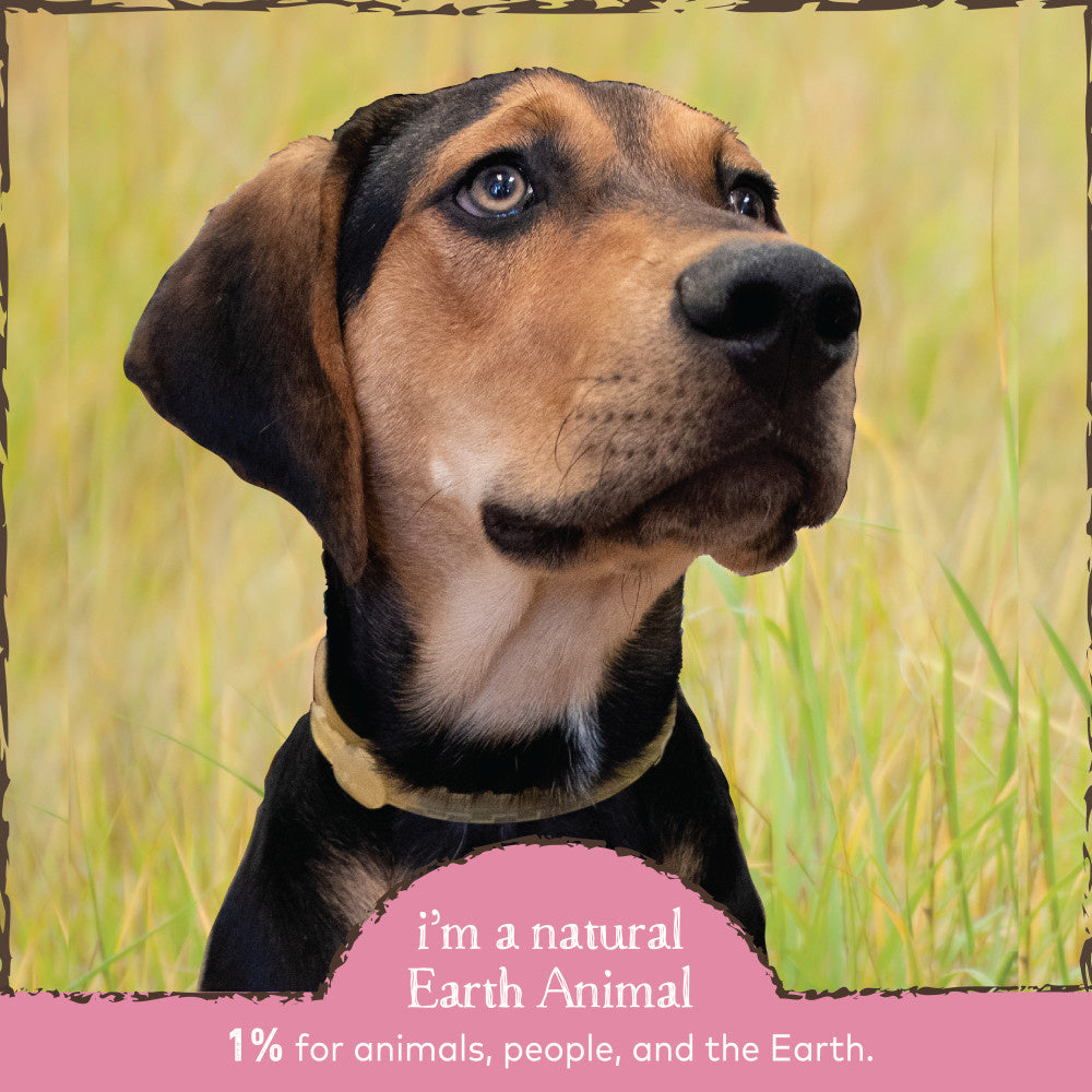 Earth Animal Nature's Protection Flea & Tick Prevention Herbal Collar for Cats