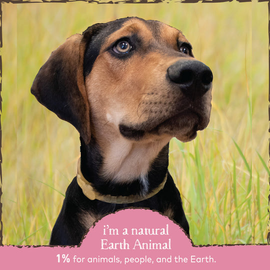 Earth Animal Nature's Protection Flea & Tick Prevention Herbal Collar for Cats
