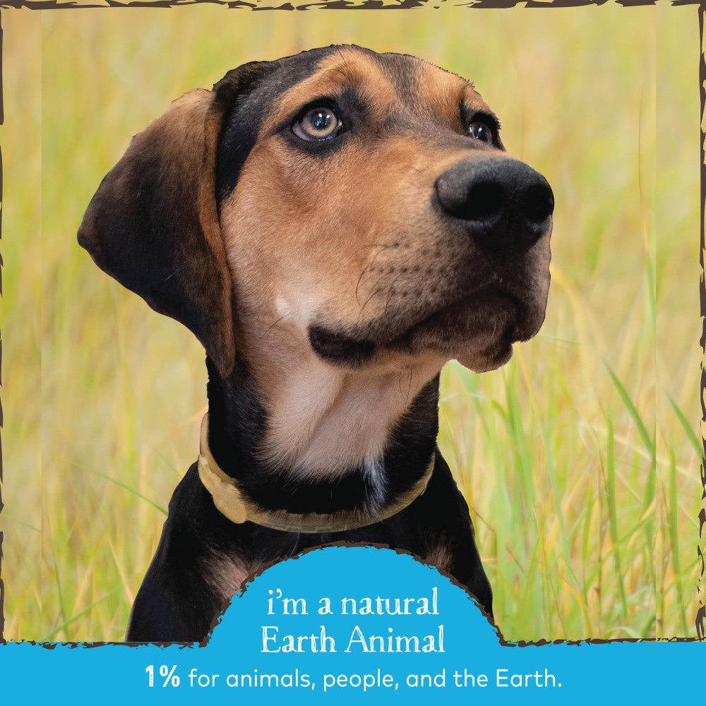 Earth Animal Nature's Protection Flea & Tick Prevention Herbal Collar for Medium Dogs