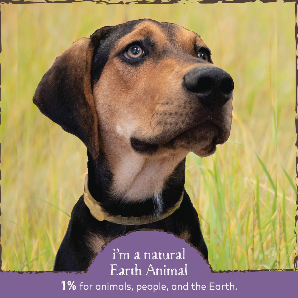 Earth Animal Nature's Protection Flea & Tick Prevention Herbal Spot-On for Large Dogs