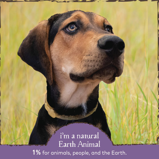 Earth Animal Nature's Protection Flea & Tick Prevention Herbal Spot-On for Large Dogs
