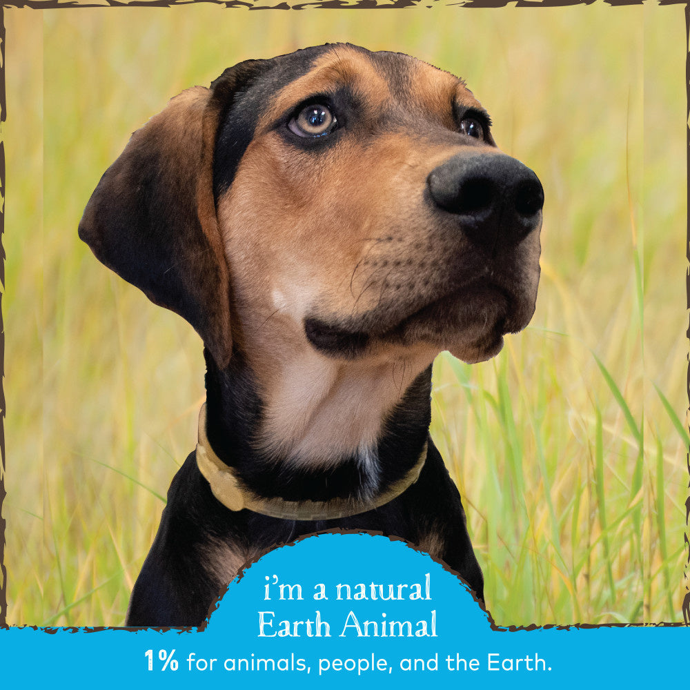 Earth Animal Nature's Protection Flea & Tick Prevention Herbal Spot-On for Medium Dogs
