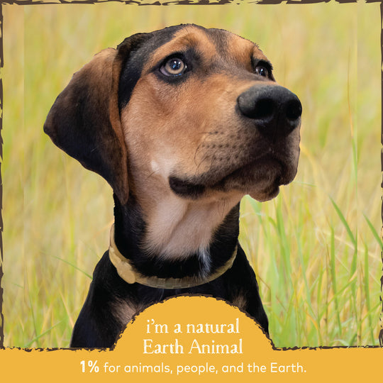 Earth Animal Nature's Protection Flea & Tick Prevention Herbal Spot-On for Small Dogs & Puppies