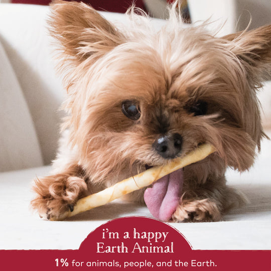 Earth Animal No-Hide Beef Stix Dog & Cat Chews