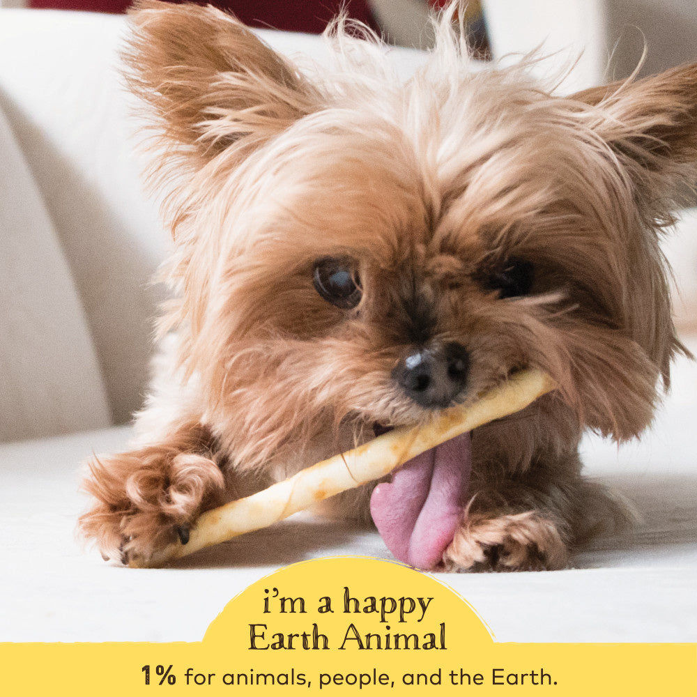 Earth Animal No-Hide Peanut Butter Stix Dog & Cat Chew