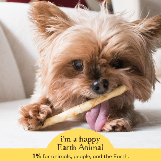 Earth Animal No-Hide Peanut Butter Stix Dog & Cat Chew