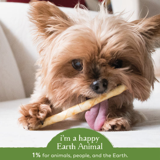 Earth Animal No-Hide Pork Stix Dog & Cat Chews