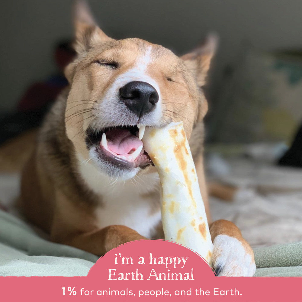 Earth Animal No-Hide Salmon Dog Chews