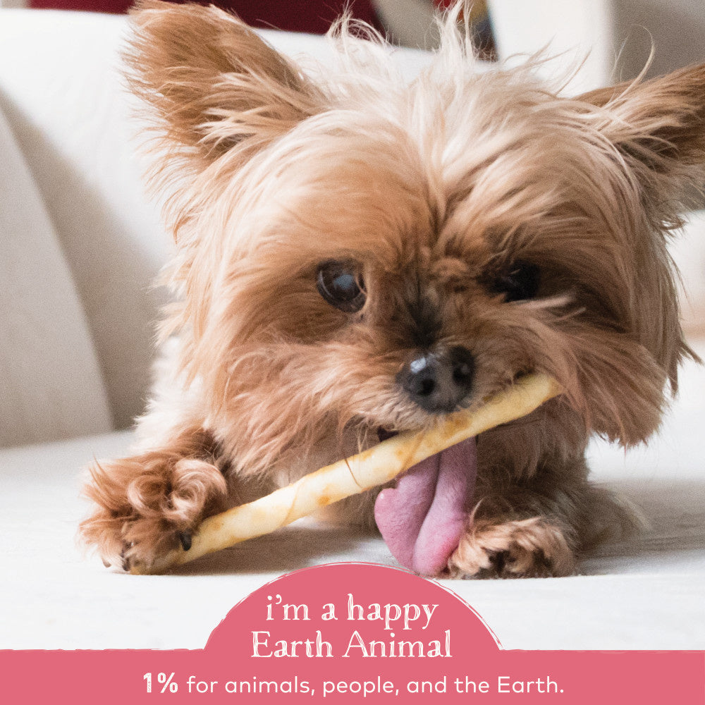 Earth Animal No-Hide Salmon Stix Dog & Cat Chews