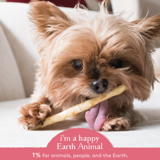 Earth Animal No-Hide Salmon Stix Dog & Cat Chews