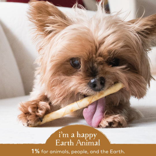 Earth Animal No-Hide Venison Stix Dog & Cat Chews