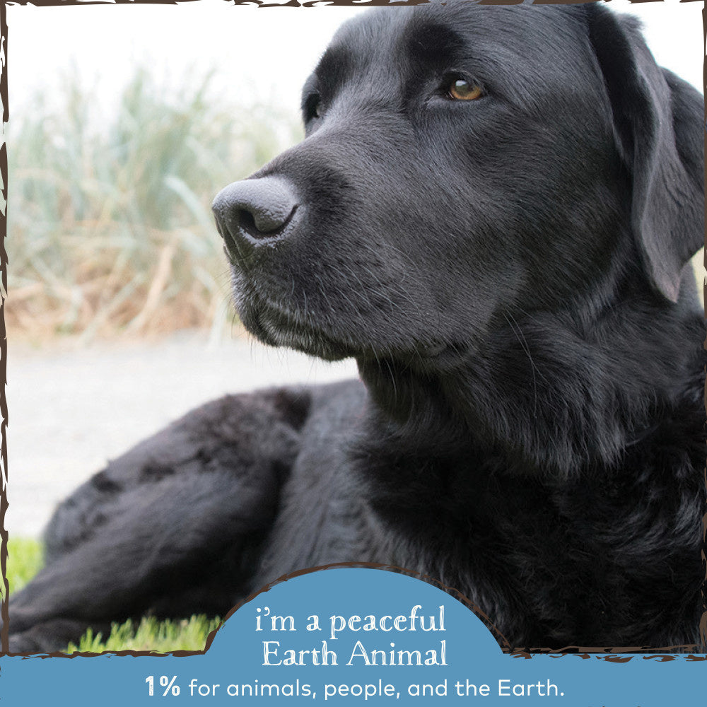 Earth Animal Organic Herbal Remedies Aches & Discomfort
