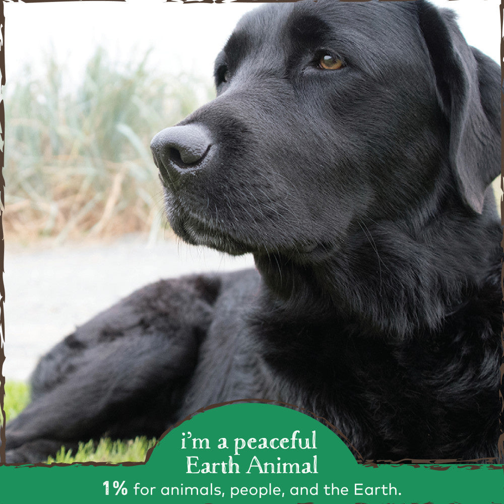 Earth Animal Organic Herbal Remedies Clean Mouth, Gums, & Breath