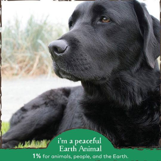 Earth Animal Organic Herbal Remedies Clean Mouth, Gums, & Breath