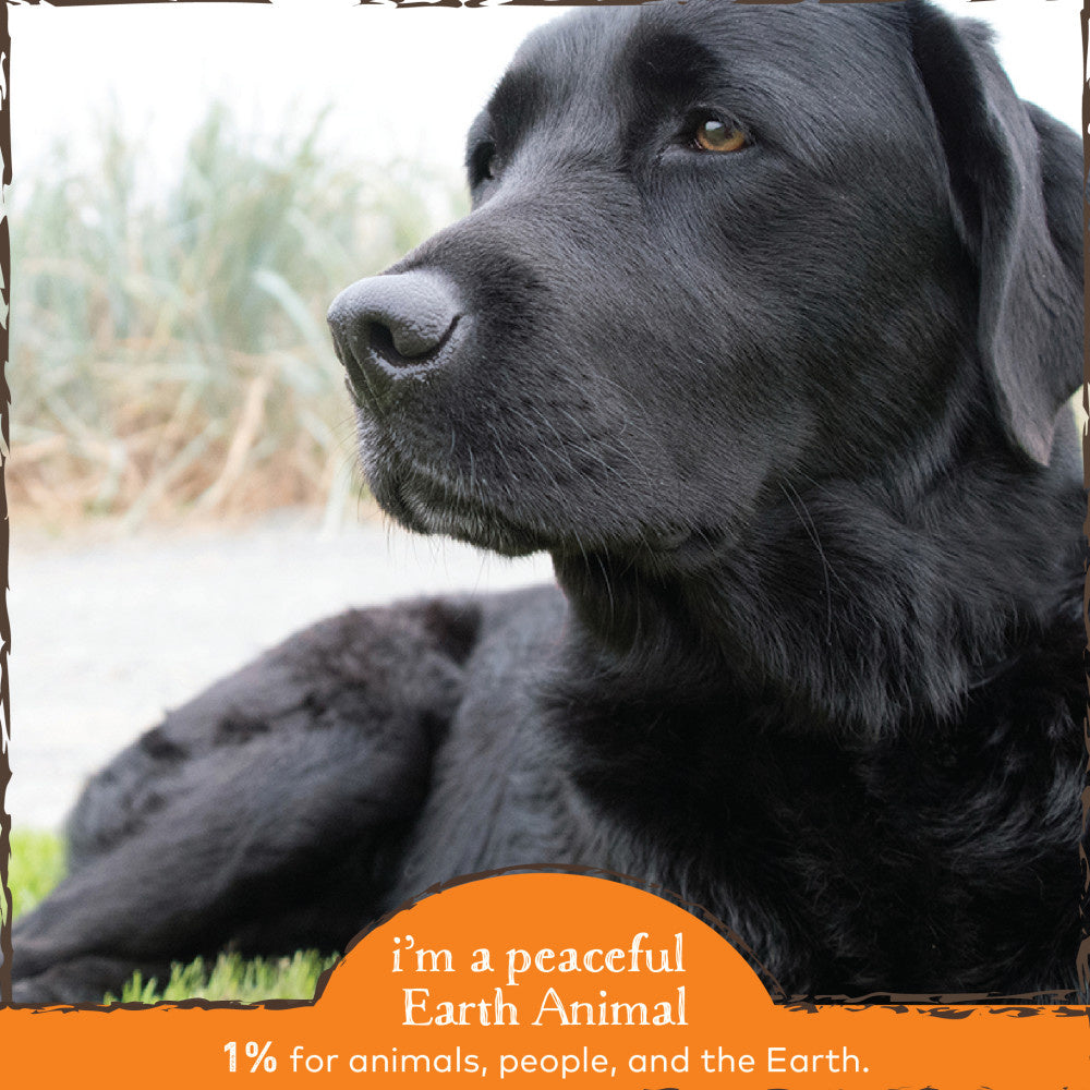 Earth Animal Organic Herbal Remedies Immune Support