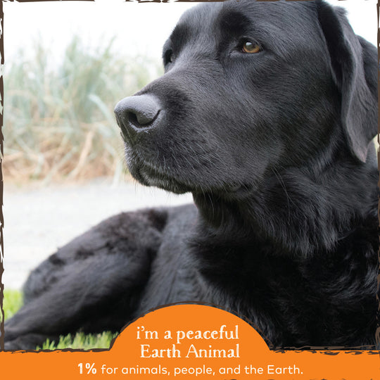 Earth Animal Organic Herbal Remedies Immune Support
