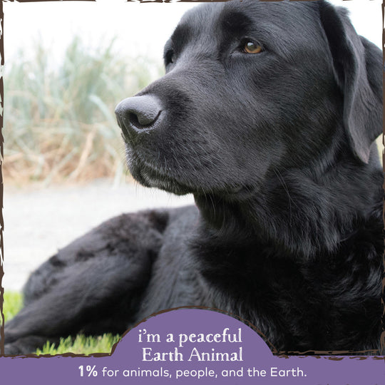 Earth Animal Organic Herbal Remedies No More Runs