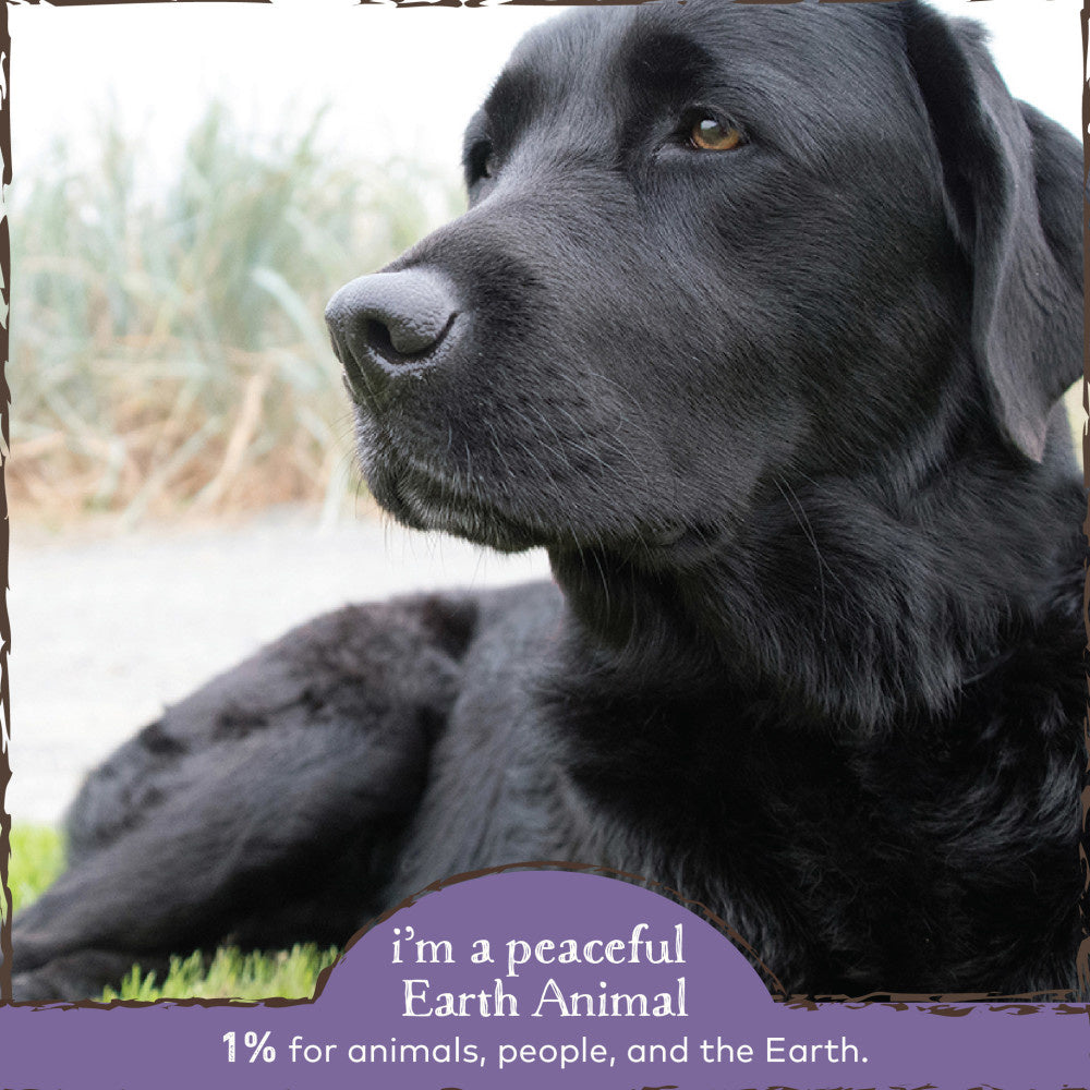 Earth Animal Organic Herbal Remedies No More Worms
