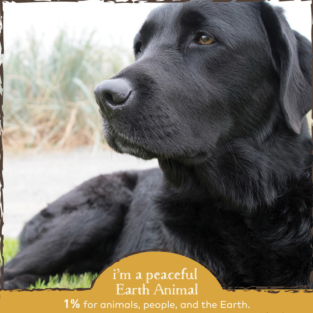Earth Animal Organic Herbal Remedies Urinary & Kidney Relief