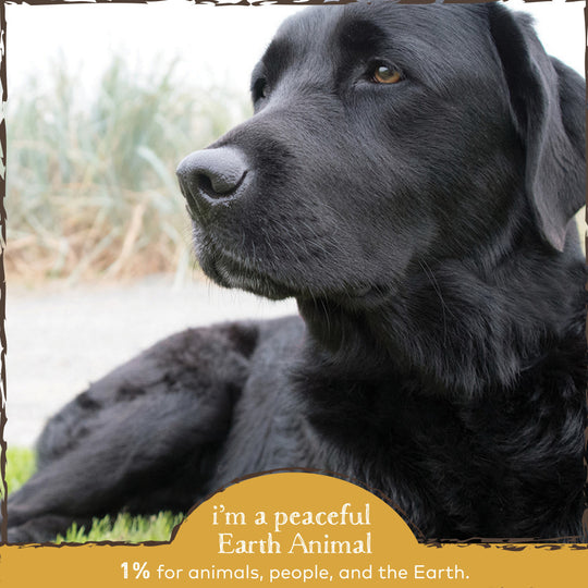 Earth Animal Organic Herbal Remedies Urinary & Kidney Relief