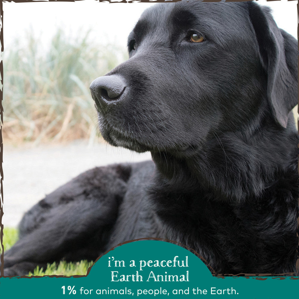 Earth Animal Organic Herbal Remedies Vital Eye