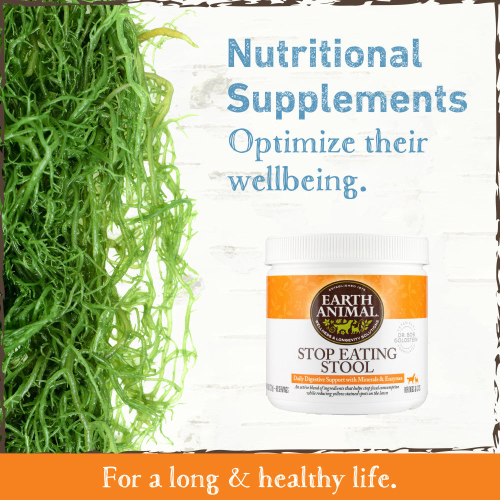 Earth Animal Stop Eating Stool Nutritional Supplement