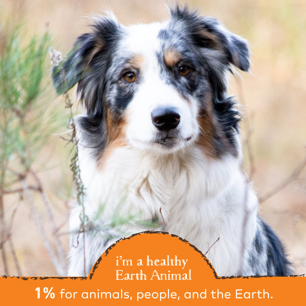 Earth Animal Stop Eating Stool Nutritional Supplement