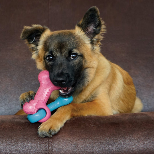 KONG ChewStix Puppy Link Bone