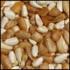 Cole's Cajun Blend Bird Seed