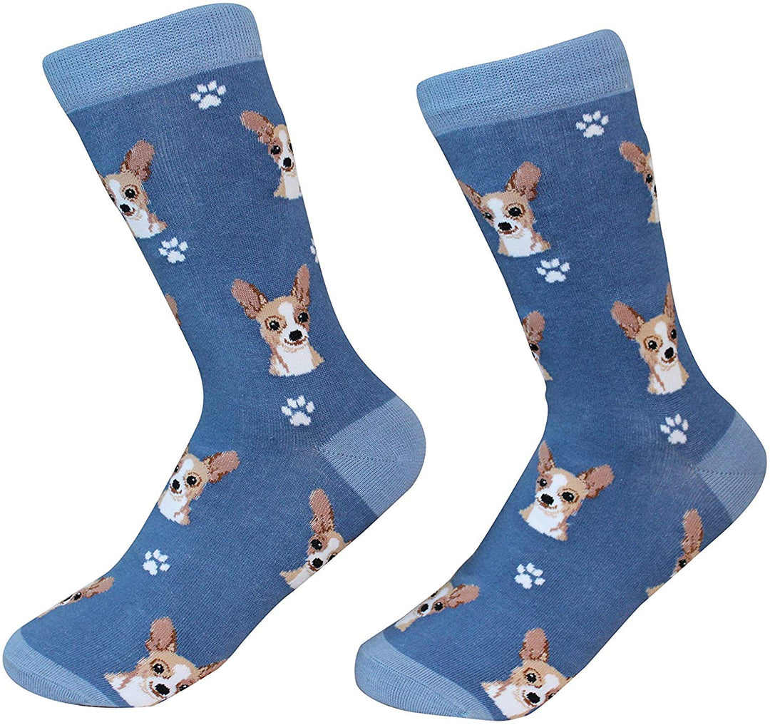 Sock Daddy Breed Socks, Chihuahua Fawn
