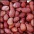 Cole's Raw Peanuts Bird Seed