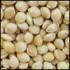 Cole's White Millet Bird Seed